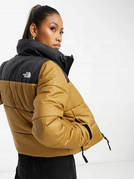 Жіноча Куртка THE NORTH FACE CROPPED SAIKURU NF0A55AR173 фото
