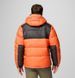Мужская утепленная куртка с капюшоном Columbia Pike Lake&trade; II Hooded Jacket 2050931 864 фото 3