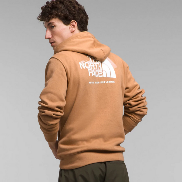 Чоловіче худі The North Face Men's Box NSE Pullover Hoodie NF0A7UNSLIT фото